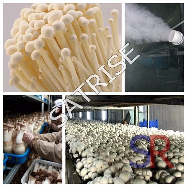 Good quality China hot sales plastic 720ml Mushroom Spawn bottle