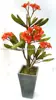 Artificial flowers plant, setting and stem ( hawaiian plumeria frangipani )