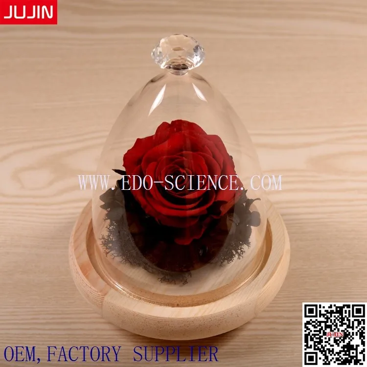Glass Cover Decotration Glass Vase (18).jpg