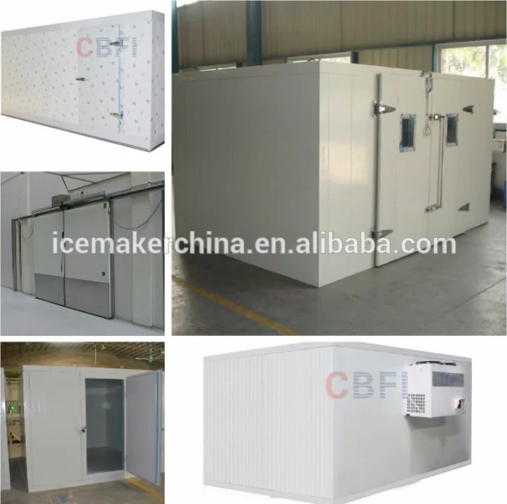 Meat/Fish/Vegetable cold storage with Bitzer compressor and PU panels