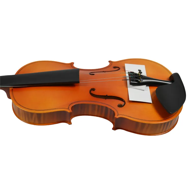 violin building kit