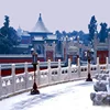Factory Custom Made In China Digital Street Scene Wedding Dress Photographic Background/ Chinese City Street Backdrops