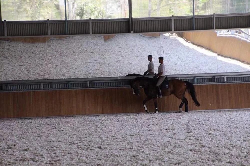 
stable bamboo board for arena 