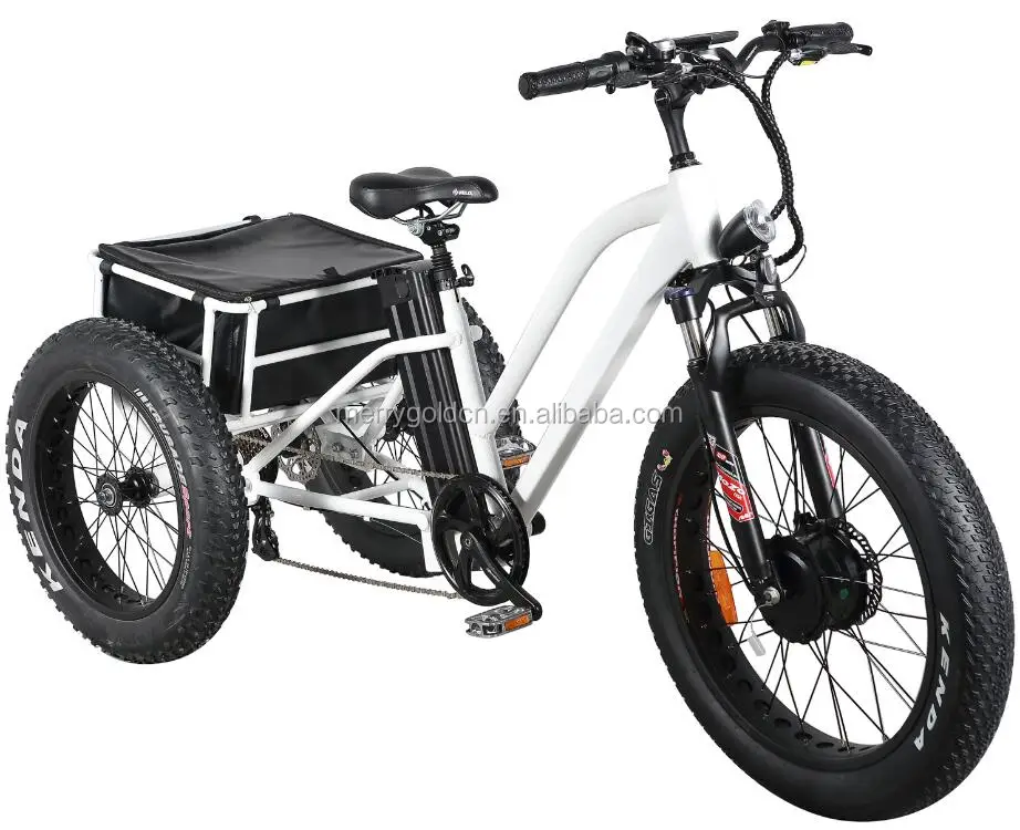 motorized three wheel bike