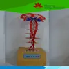 Medical educational supply Electric model of cone system(cortical nuclear group)