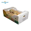 Fresh Melon Stackable Plastic Corflute Packaging Box