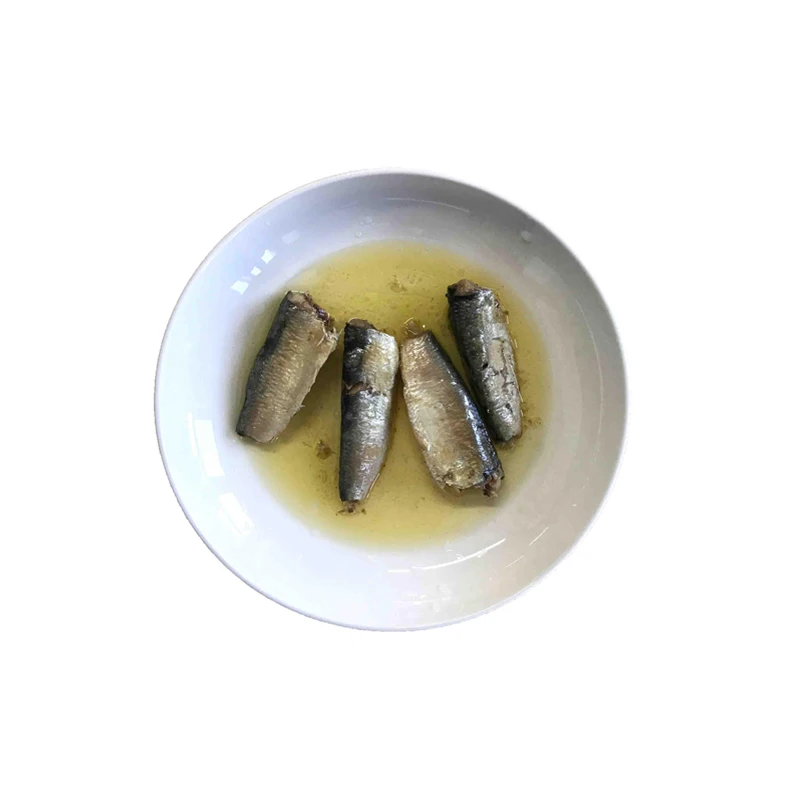 
Canned sardines morocco with lowest price 