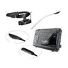 Cow dog pregnancy test B mode ultrasound scanner