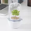 planters nuts plant pot