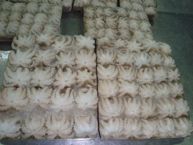
FROZEN WHOLE CLEAN BABY OCTOPUS FROM VIET NAM 