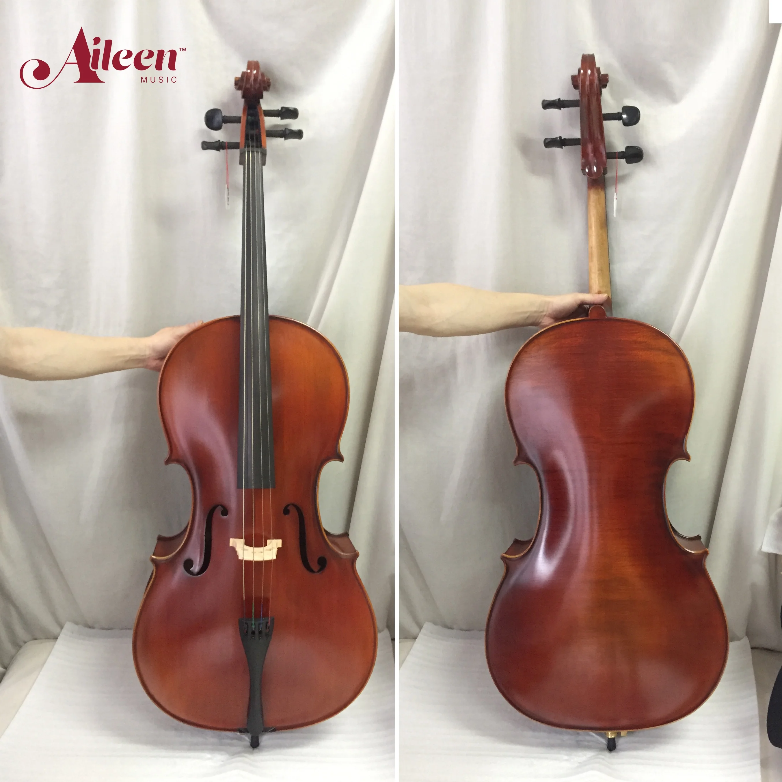 

Aileen Stock solid spruce Advanced Cellos(CH20Y)