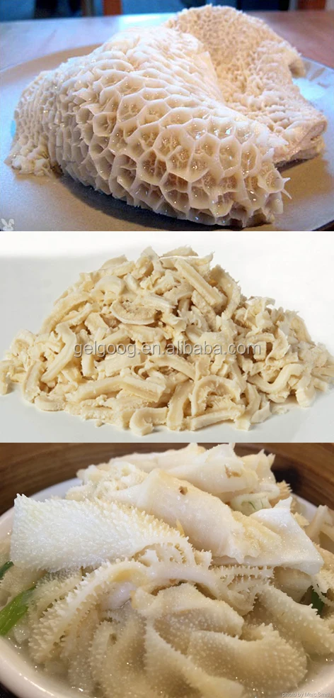 best price beef tripe cleaning machine washing omasum machine