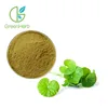 /product-detail/hot-selling-gotu-kola-plant-extract-centella-asiatica-extract-60721718835.html