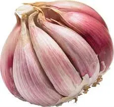 
arequipenian garlic 