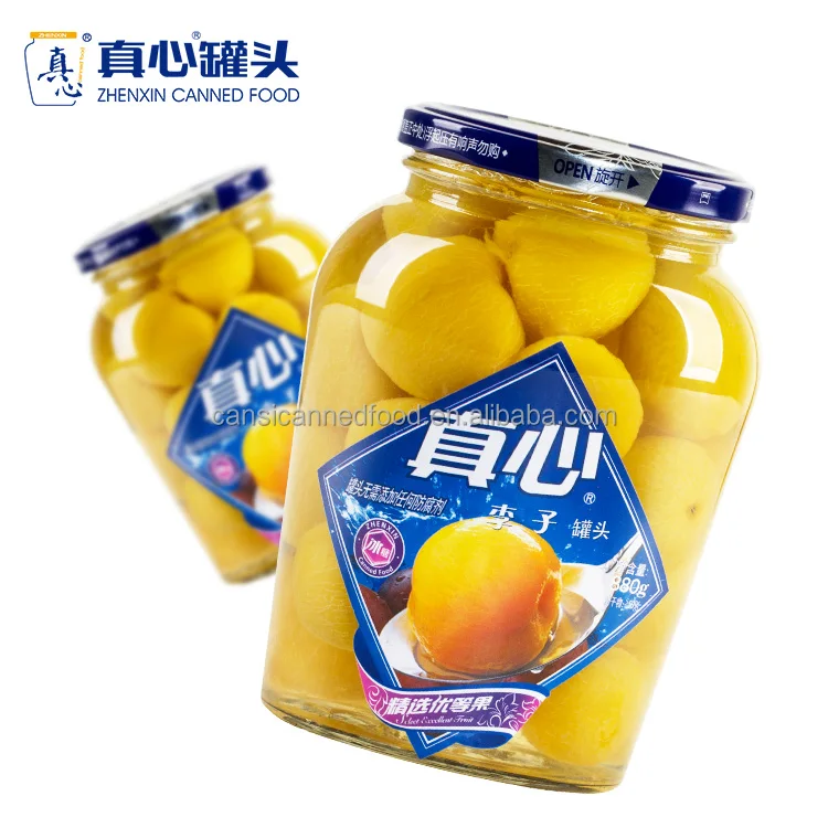 
Top 10 Canned Food Company Canned Plum Fruit in Light Syrup 