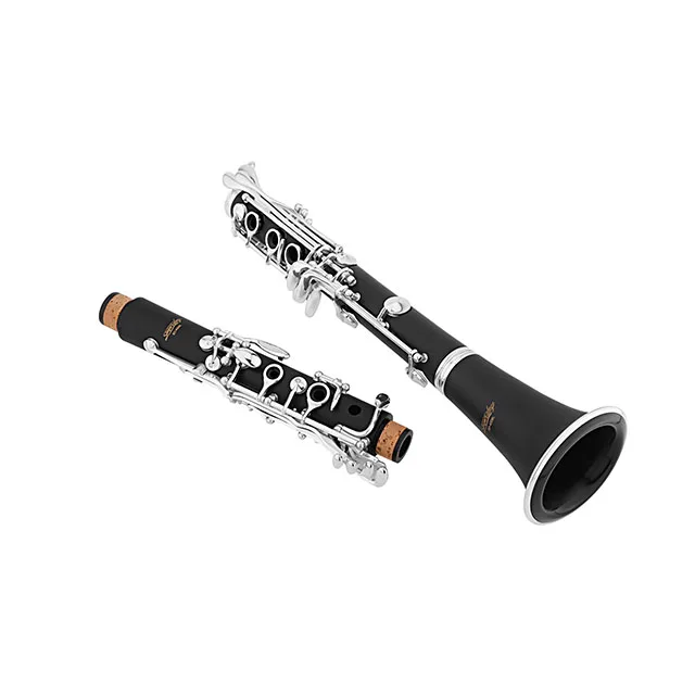 
Accept OEM Dasheng Music DSCL-711 17 Keys Bb Clarinet 