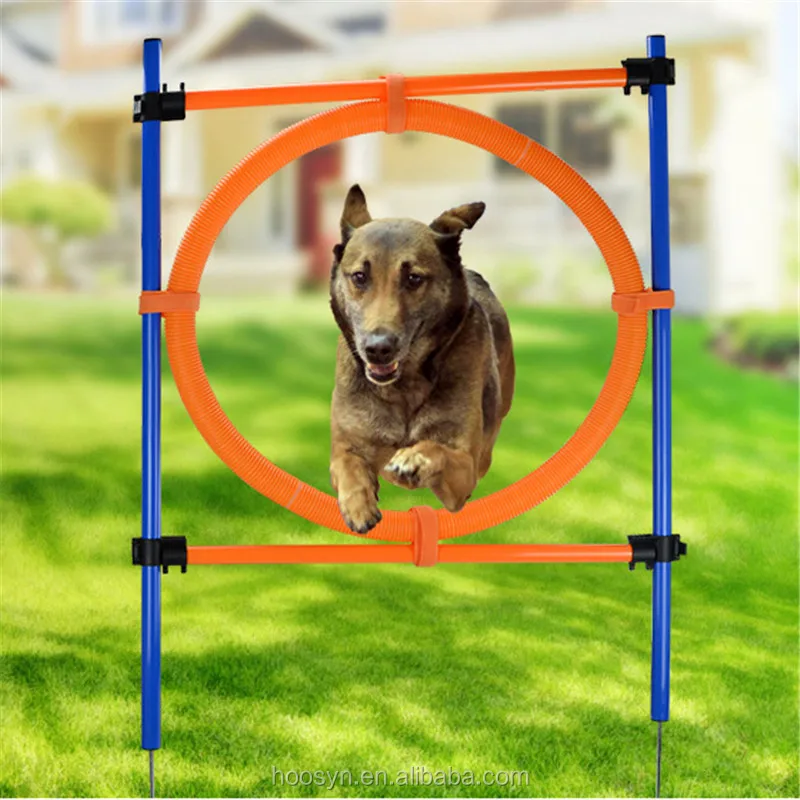 Chien En Plein Air Activité Agilité Saut Du0027exercice Obstacle Bar 