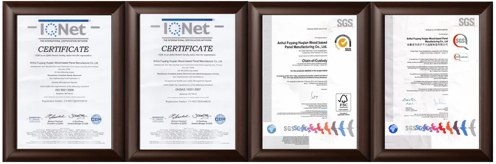 paste-pic-dp_uuid_siqsv