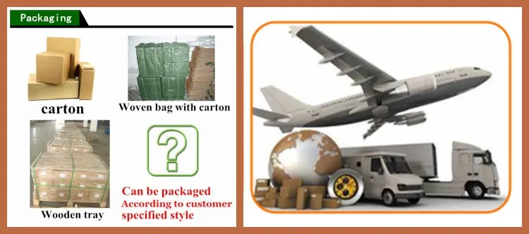 HTB16inAHVXXXXbHXXXXq6xXFXXXW_