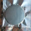 Antimony germanium tellurium alloy sputtering target