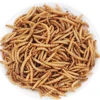 Pet Food Treats For Bird Fried Mealworms
