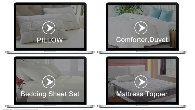 paste-pic-dp_uuid_76s40