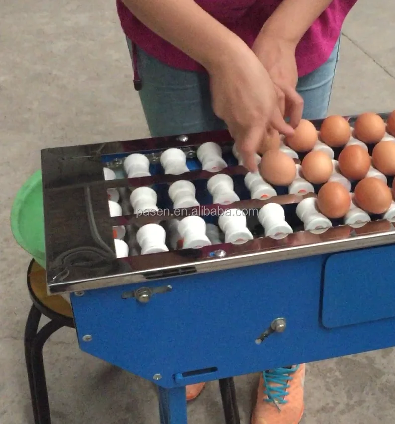 александр усов синявинская птицефабрика. машина для сортировки яиц. сортировщик яиц. сортировка яиц на птицефабрике. производство пищевых яиц.