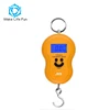Chinese Electronic Weighting Scales Small Fish Scales