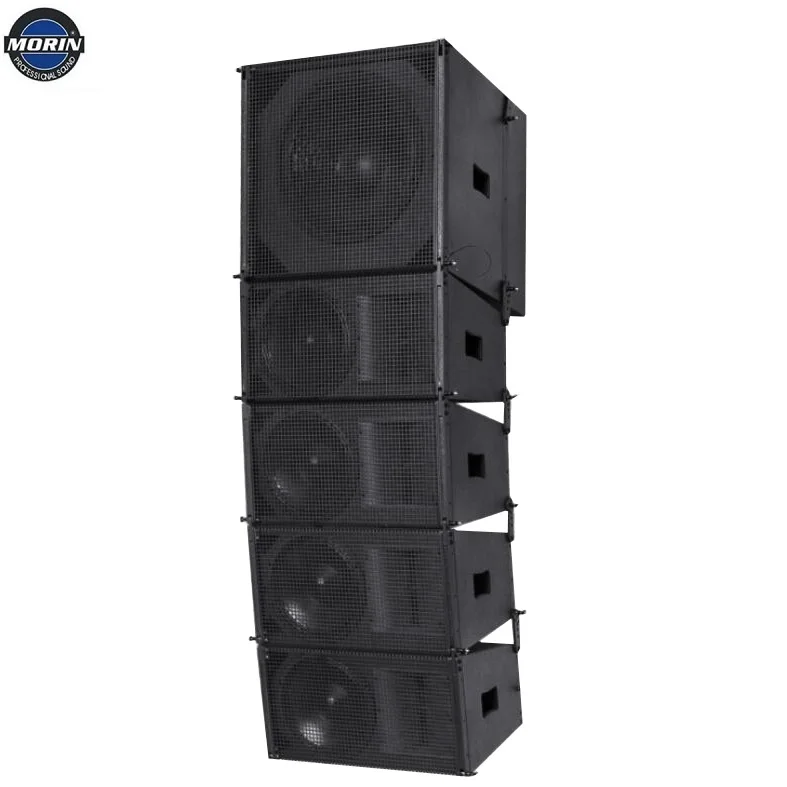 Professional Dual 12 Inch Line Array Speakers For Stage Performance(8+2