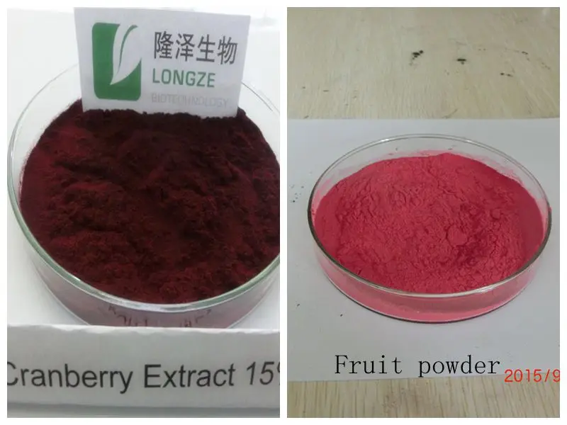 Cranberry extract powder/cranberry juice concentrate cranberry p.e.