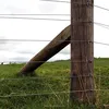 Agriculture management electric Fence Power Energizer Electric fence for animal/sheep/horse/elephant/cattle