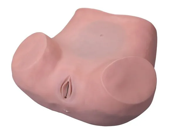 Gynecological Training Model.jpg