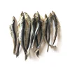 Dried shell on and shell off white dry anchovy