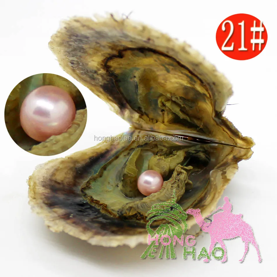 

Wholesale AAAA 7-8mm natural akoya salt oyster pearl, pearl in oyster is 21# natural pink Total 28 colors to choose from, N/a