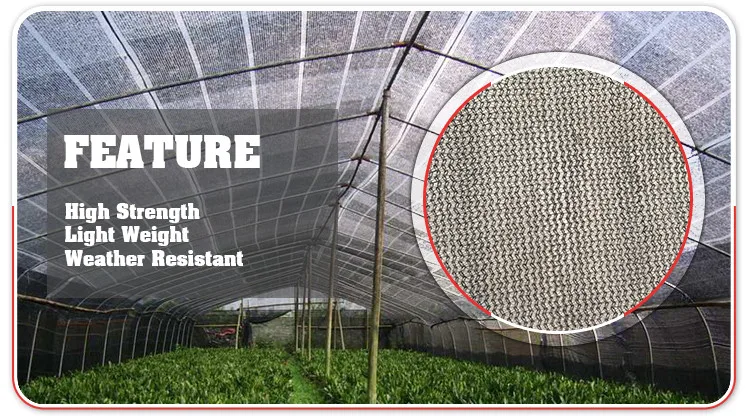 export sun shade net for vegetable garden