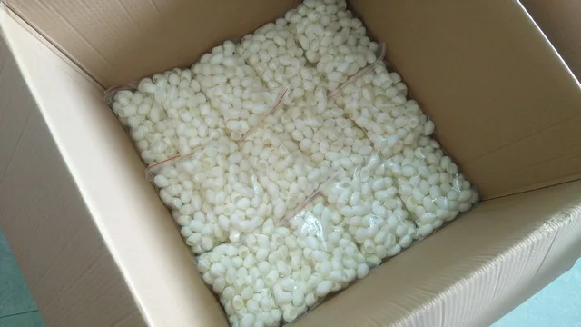 silk cocoon (6)_.jpg