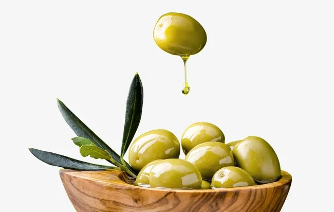 supply top food and cosmetic grade pure olea europaea oil olive