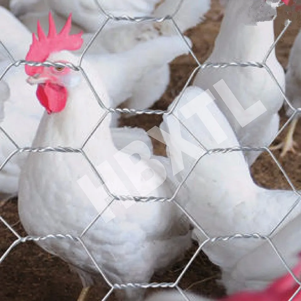 Hexagonal Decorative Chicken Wire Mesh Buy Welded Wire Mesh,Poultry