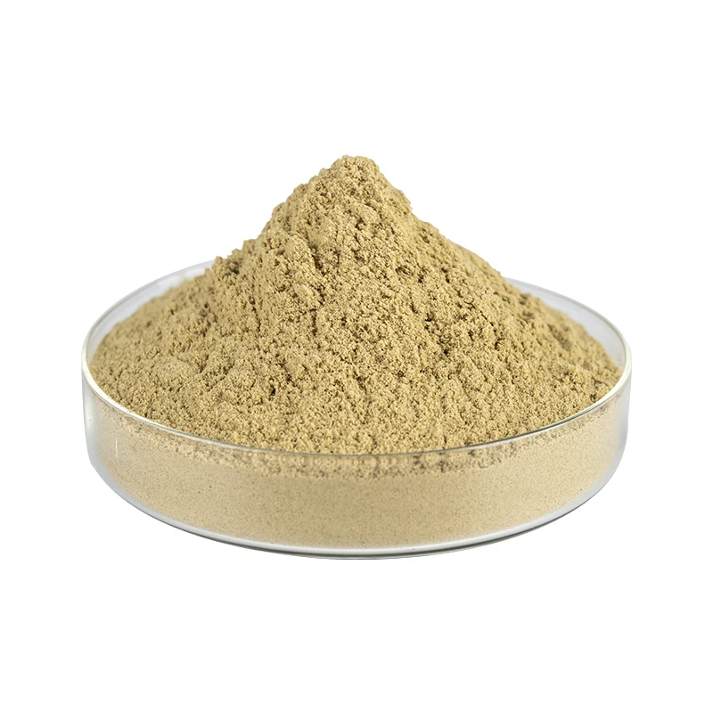 Pure Hemp Protein Best Protein Powder