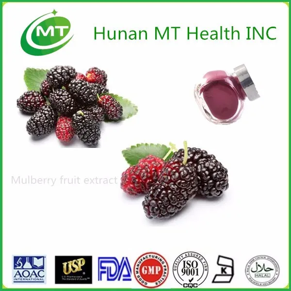 Chinese Herbal Extract Anthocyanidins Mulberry Fruit Extract/mulberry