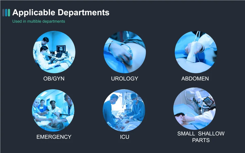 ultrasound probe.png