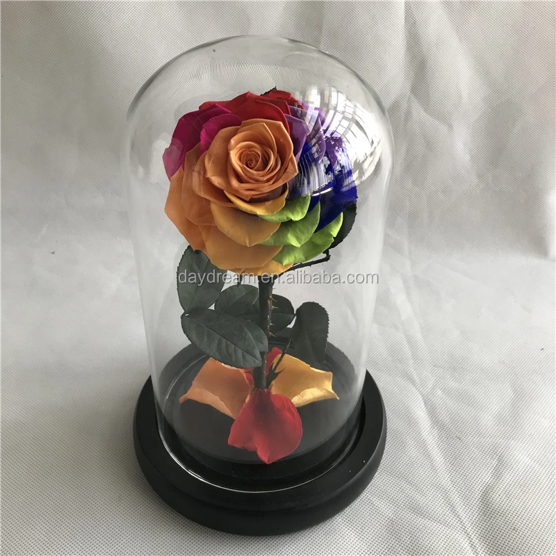 Beauty and the Beast Rose LED Galaxy Floral Dome