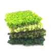 Architectural DIY Preserved Stabilized Reindeer Real Moss Panels Tiles Green Wall