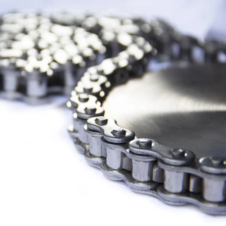 roller chain-2.jpg