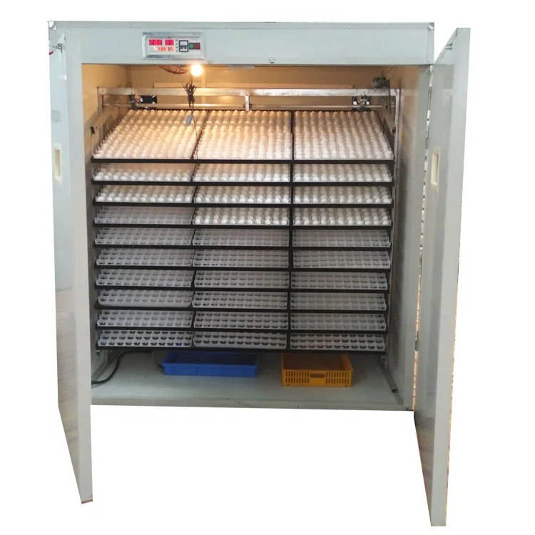 
Electric Powered Capacity 5000 Eggs Incubator Hatcher Machine in South Africa 