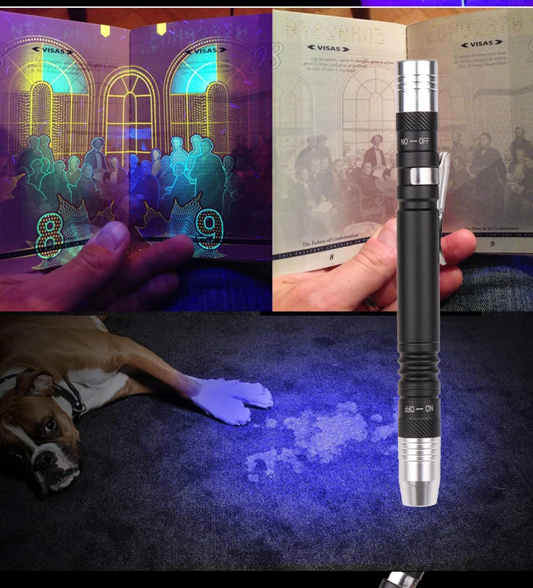 Portable Medical Flashlight,Eye Doctor Torch,Led Medical Pen Lights For