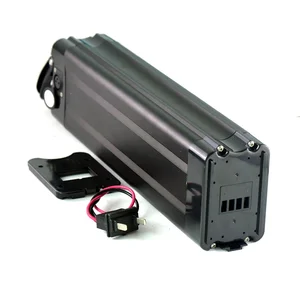 E- Bike Battery 48v 20Ah Sliver fish type Battery Pack Li-ion 18650 Cells