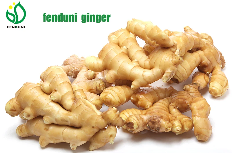 Fresh Ginger/Laiwu Ginger