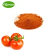 100% Natural tomato extract/tomato extract powder/tomato ketchup powder