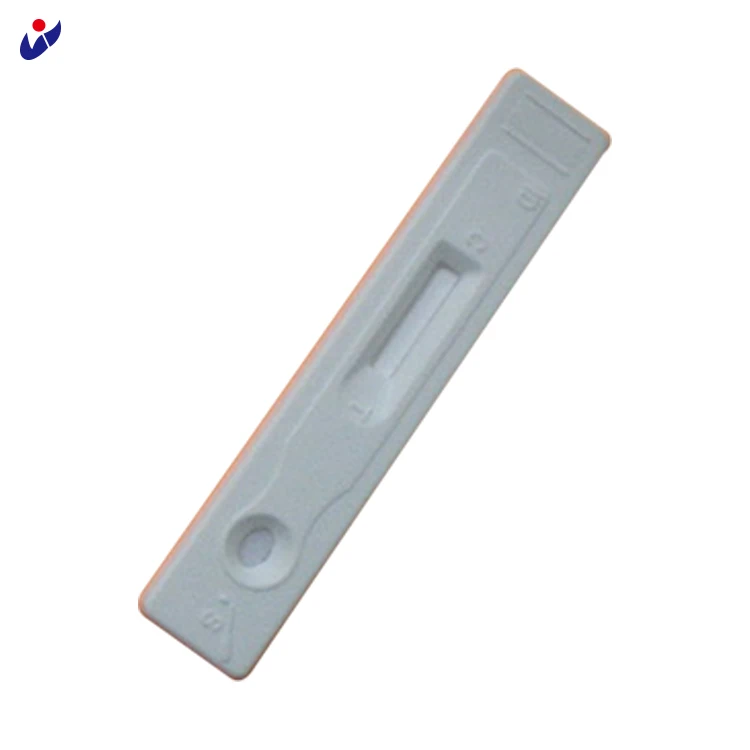 Home Early Pregnancy Test Strips 5 Minute Results Buy Home Early